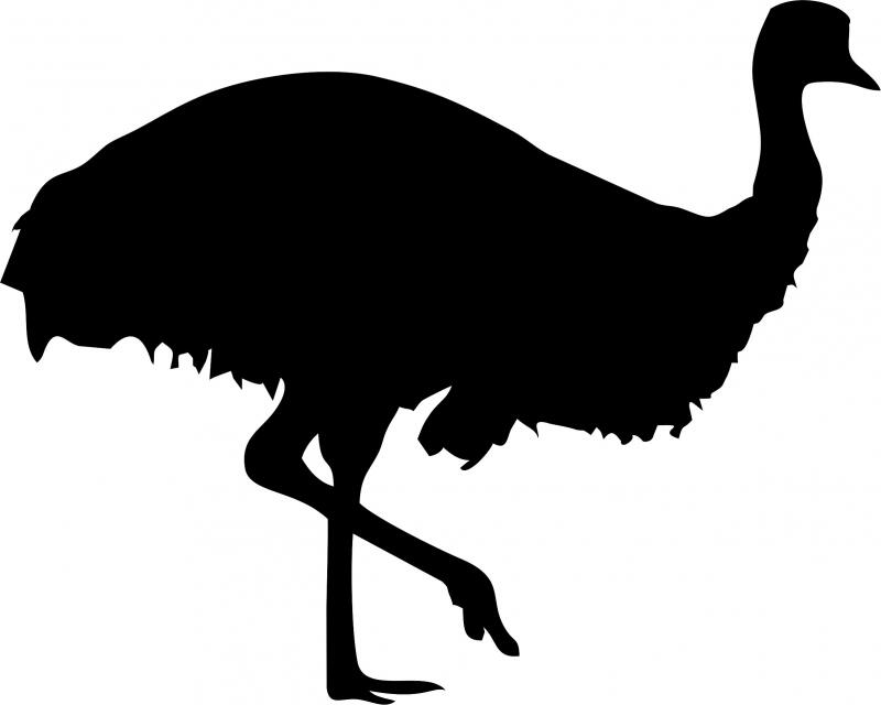 Emu 1 Laser Cut Silhouette