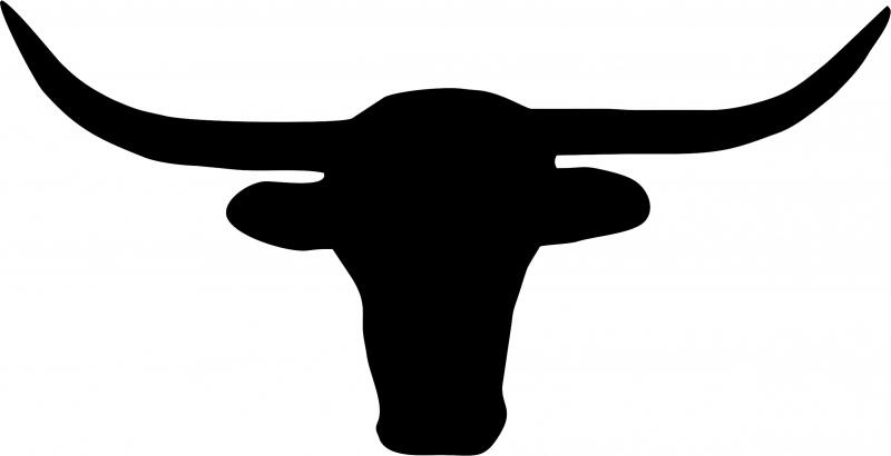 Longhorn Head Silhouette Laser Cut Applique