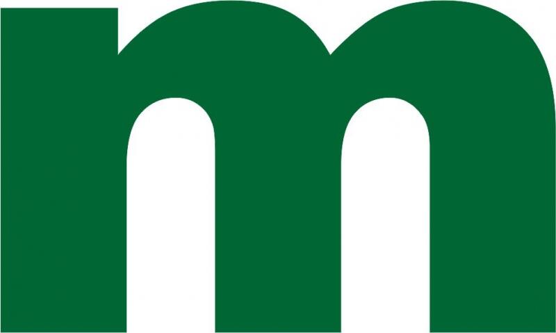 Letter - "m" Lowercase Laser Cut Appliques