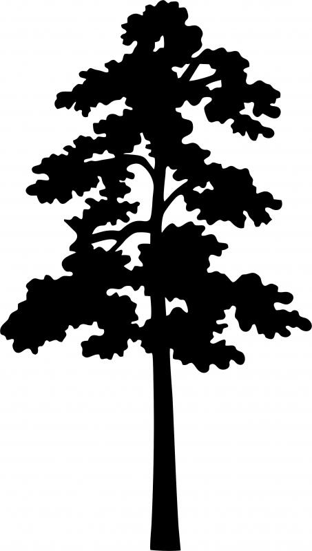 Tall Tree 9 Silhouettes Die Cut Appliques Tall Tree 9 Silhouettes Die Cut Appliques