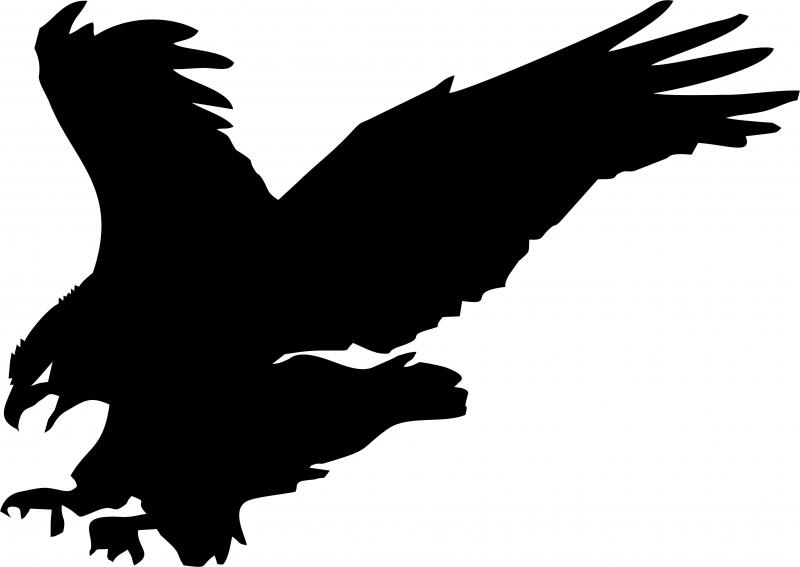 Eagle Silhouette Laser Cut Appliques