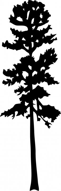 Tall Tree 7 Silhouettes Die Cut Appliques